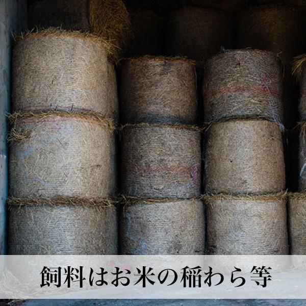 博多和牛 切り落とし すき焼き用 450g  国産牛肉 福岡産  冷凍