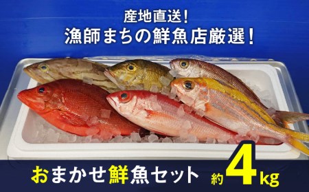 おまかせ鮮魚セット（約4kg）