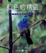 藍色的精靈【二手書_良好】TAAZE讀冊生活