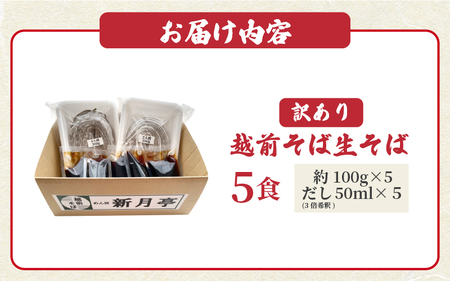 こだわり 越前そば 生蕎麦（保存料・防腐剤・添加物不使用）5人前（だし付き）[e21-a001]