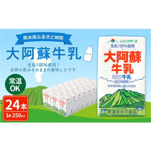 ふるさと納税 熊本県 大阿蘇牛乳 250ml×24本 1ケース 紙パック 常温保存可能