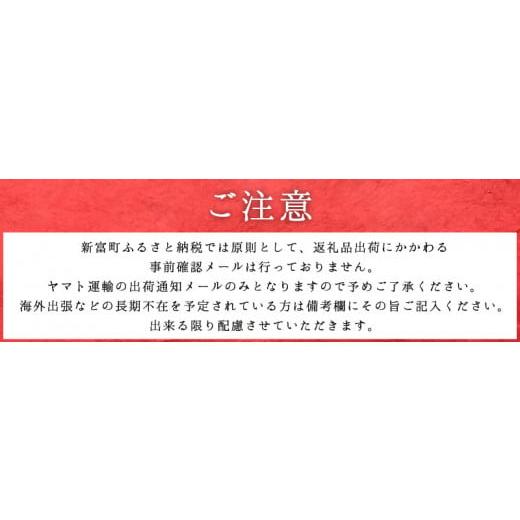 ふるさと納税 宮崎県 新富町 ［うなぎ特集掲載の品］新仔?味鰻の手焼備長炭蒲焼 2尾（無頭）化粧箱入 熨斗対応可