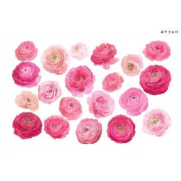 【10月新品4】20-22-0022 裁切紙・拼貼素材 陸蓮花