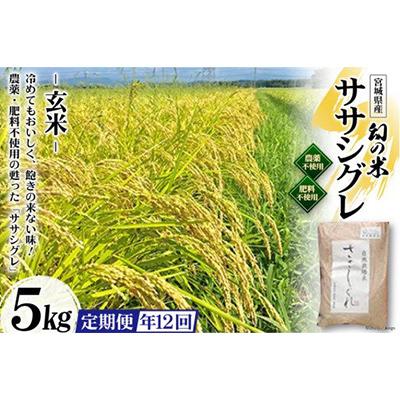 ふるさと納税 加美町 希少品種「ササシグレ」玄米5kg 全12回