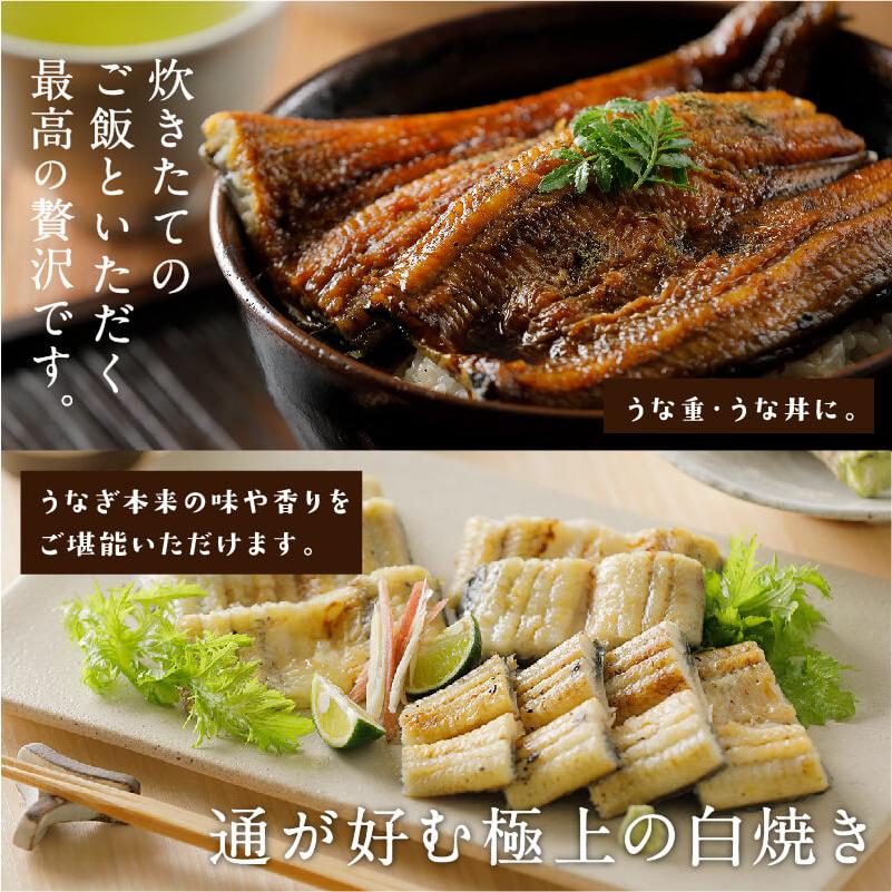 お中元 うなぎ 国産 特大 朝じめ 特選 鰻 蒲焼き2尾と白焼き1尾のコンビセット 送料無料