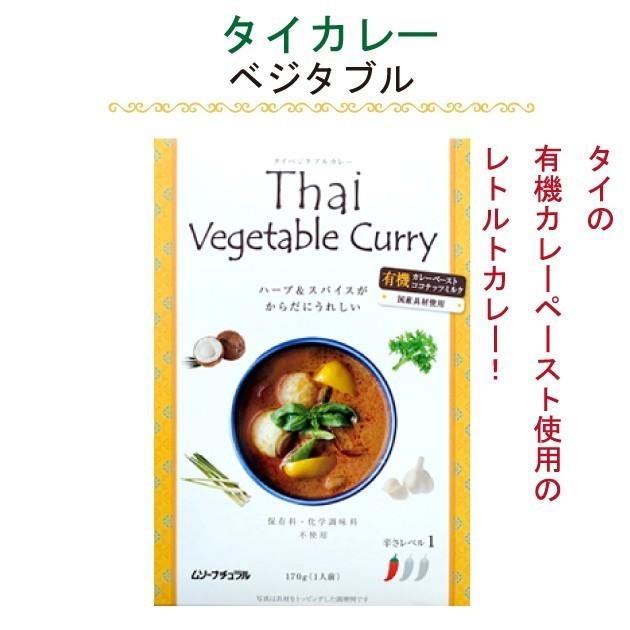 むそう　タイカレー（ベジタブル）170g×10パック 本場タイの有機カレーペースト使用のレトルトカレー  送料込