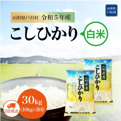 コシヒカリ 定期便 30kg(10kg×3回お届け)山形県 戸沢村