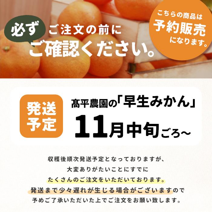 みかん 三ヶ日 4kg ミカン 4キロ mikan 高平農園 三ケ日 静岡産 農家直送 産地直送 早生 青島 フルーツ プレゼント お歳暮 ギフト お年賀 小玉 小粒 s mサイズ