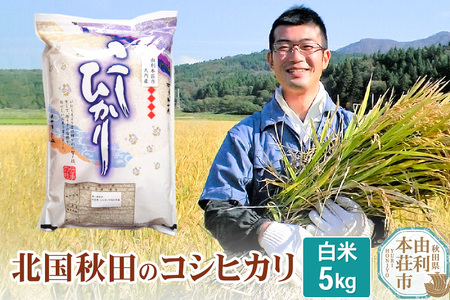  コシヒカリ 令和5年産 秋田県産 北国秋田のコシヒカリ 5kg