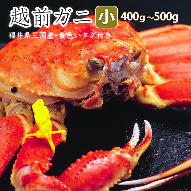 越前かに 福井県産越前ガニ（小）　タグ付き 茹で 400g〜500g　カニ　国産 蟹　冷蔵（クール便）