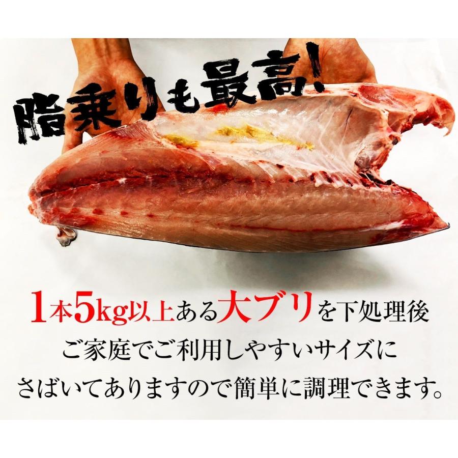 寒ブリ 半身 おろし済み 約1.5kg〜 九州産 お刺身用 冷凍配送 ぶり 鰤 ぶりしゃぶ 照焼き 忘年会 お歳暮 業務用 食品 おかず お弁当