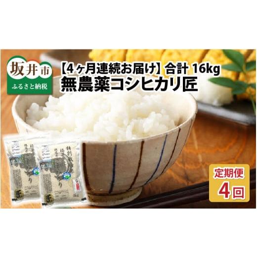 ふるさと納税 福井県 坂井市 [D-2912_01] ワンランク上の無農薬コシヒカリ匠 4kg × 4回 計16kg（白米…