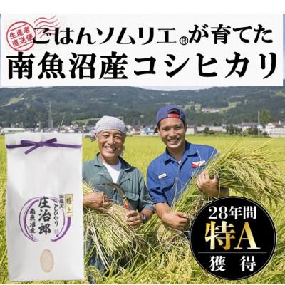 ふるさと納税 南魚沼市 令和5年産 10kg ごはんソムリエの南魚沼産コシヒカリ『庄治郎』100%塩沢産