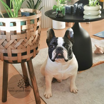 比如樹│木制禪意家居花架竹編樣板房收納竹簍美式花盆落地花架