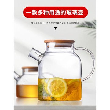 耐高溫可加熱花茶煮茶壺加厚家用大容量玻璃燒水壺透明火養身單壺