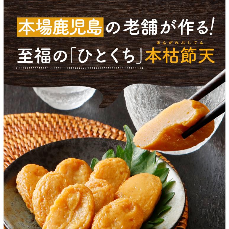 さつま揚げ 8個×2パック 送料無料 鹿児島 さつまあげ 本枯れ節天 常温 レトルト おつまみ 真空パック 手土産 ポイント消化 [メール便]