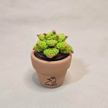多肉植物 石蓮花-手作編織植物