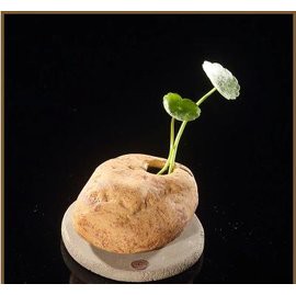 【花盆-梵石禪語-紫砂-長9.1*寬7.2*高5.2cm-1套/組】心淘 宜興陶瓷紫砂小花盆 現代簡約創意個性辦公桌窗臺-7501032