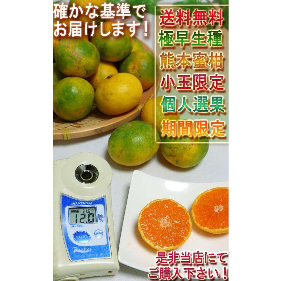 極まろ蜜柑 グリーン温州みかん 約10kg S〜3Sサイズ 小玉限定 熊本県産 個人農家産中心 極早生ミカンの聖地、熊本産！緑の果実に豊富な果汁と爽やかな甘さ