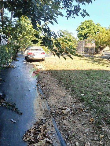 正建國路一般農｜桃園市八德區大庄