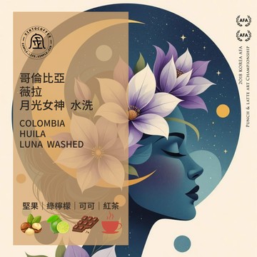 [10入環保濾掛] 哥倫比亞 薇拉 月光女神 水洗