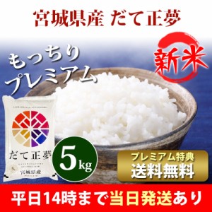 新米 米 5kg 宮城県産 だて正夢 令和5年産 お米 5kg プレミアム特典 送料無料 北海道・沖縄配送不可 即日発送 クーポン対象 5キロ 安い