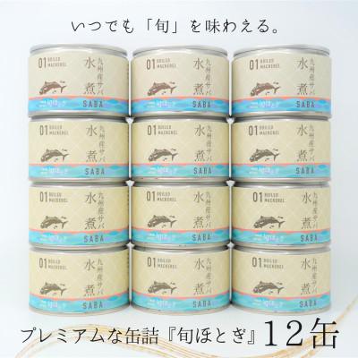 ふるさと納税 松浦市 缶詰工場直送　伝統のさば缶「旬ほとぎ」水煮12缶