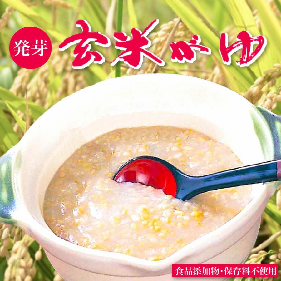 こまち食品 発芽玄米がゆ 12袋セット