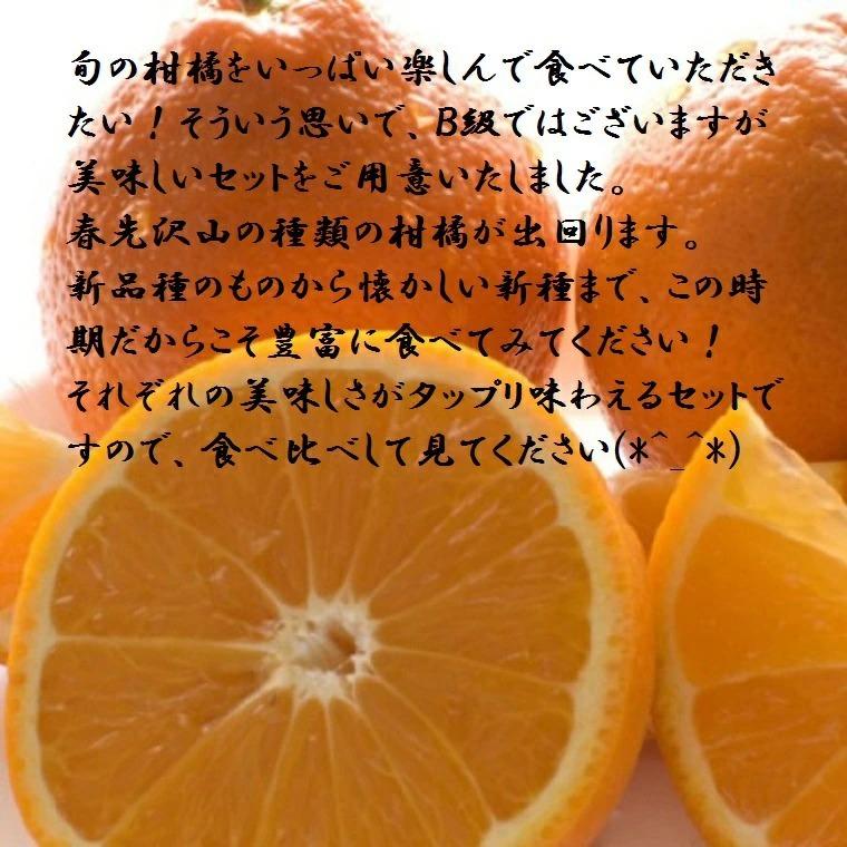 果物　訳ありＢ級　おまかせフルーツボックス５，０００円コース　ご家庭用！　タップリフルーツ！果物　詰め合わせ