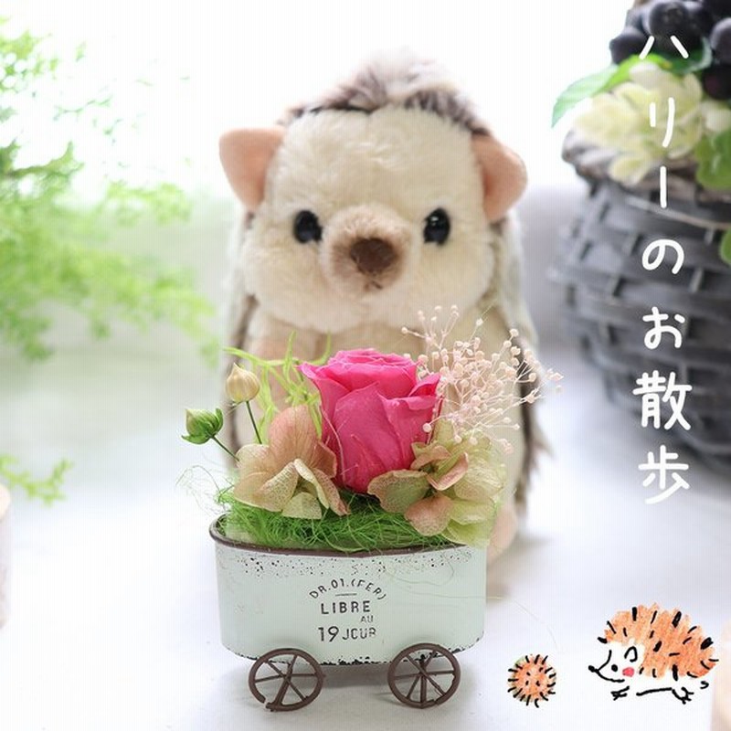 はりねずみ ぬいぐるみ 花 セット かわいい プリザーブドフラワー 誕生日 プレゼント ギフト 癒しグッズ プレゼント ハリネズミ グッズ ハリーのおさんぽ 通販 Lineポイント最大0 5 Get Lineショッピング