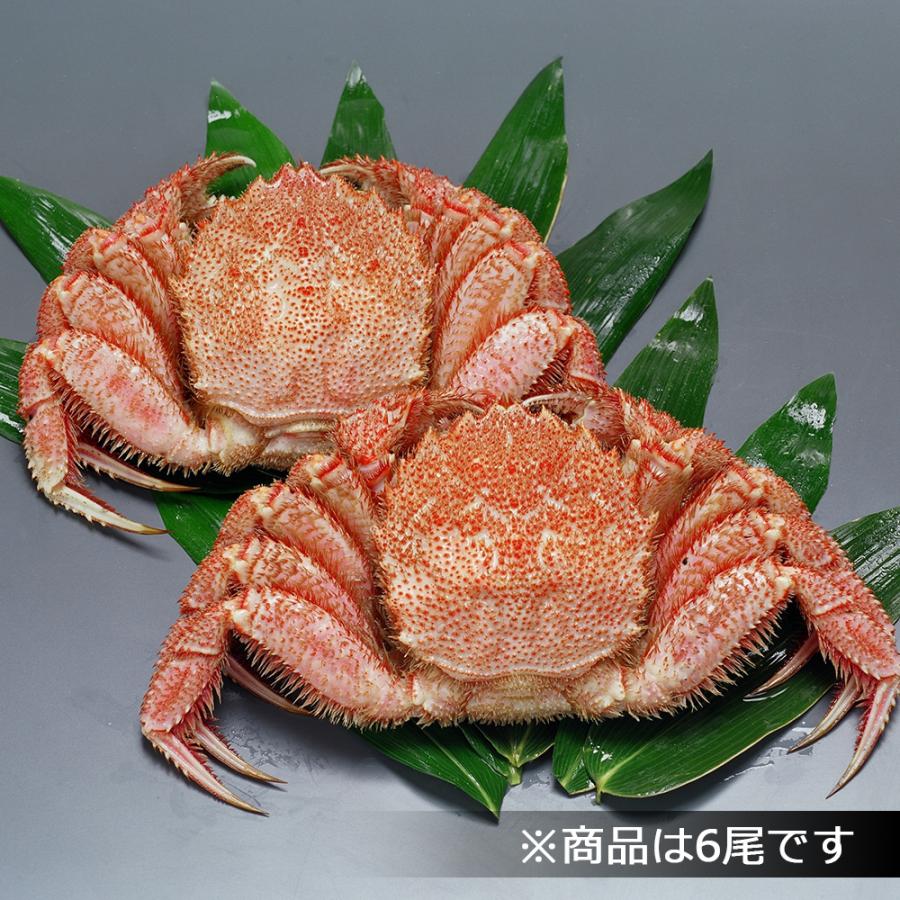 かに カニ 蟹 北海道産 冷凍 ボイル 毛蟹 6尾 2500〜2700g   お取り寄せ お土産 ギフト プレゼント 特産品 お歳暮 おすすめ  