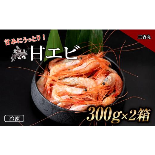 ふるさと納税 北海道 白老町 甘みにうっとり！冷凍甘エビ（300ｇ×2箱）