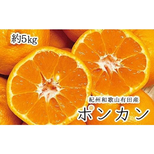 ふるさと納税 和歌山県 すさみ町 紀州和歌山有田産ポンカン　5kg ※2024年2月上旬頃〜2月中旬頃に順次発送（お届け日指定不可）