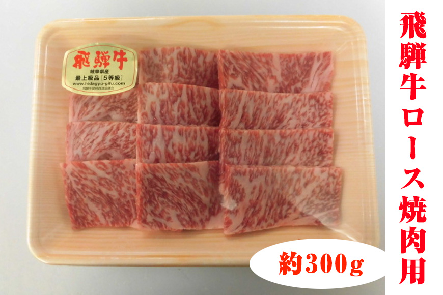 飛騨牛ロース焼肉用 約300g（5等級 冷凍） [No.214]