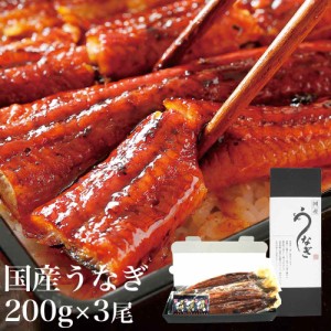 うなぎ蒲焼き (特大200g×3尾) 愛知県三河一色産 タレ付 備長炭 お中元