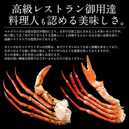 港ダイニングしおそう マルズワイガニ まるずわいがに 足 脚 3kg（約12〜18肩入り） 約6〜7人前 マルズワイ まるずわい ずわい蟹 ズワイガニ