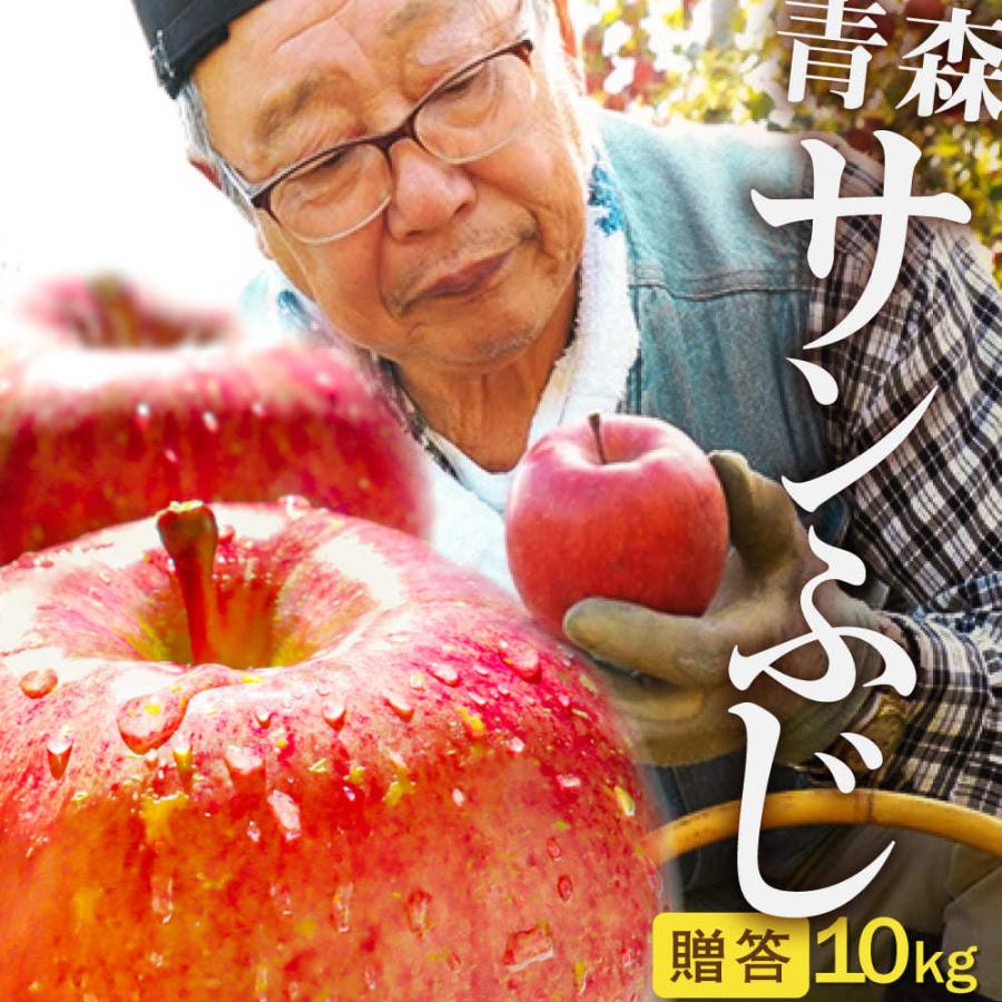 2023年産 青森県産りんご 贈答用 サンふじ10kg （約24玉〜46玉前後）産地直送 お歳暮 ギフト 内のし付き