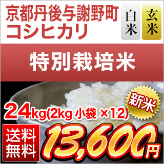 新米 令和5年(2023年)産 京都丹後与謝野町産 コシヒカリ 24kg(2kg×12袋) 