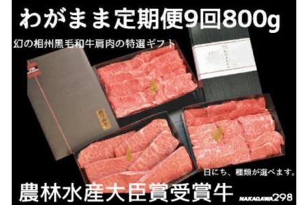 わがまま定期便　 幻の相州黒毛和牛肩肉 800g 年に9回お届け！