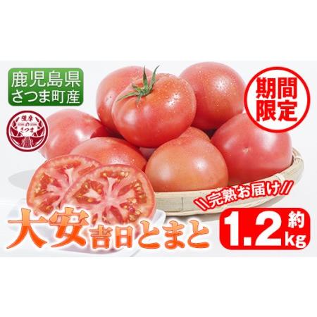 ふるさと納税 s199 さつま町産の大安吉日とまと(約1.2kg)完熟してから収穫した採れたてのトマトをお届け 鹿児島県さつま町