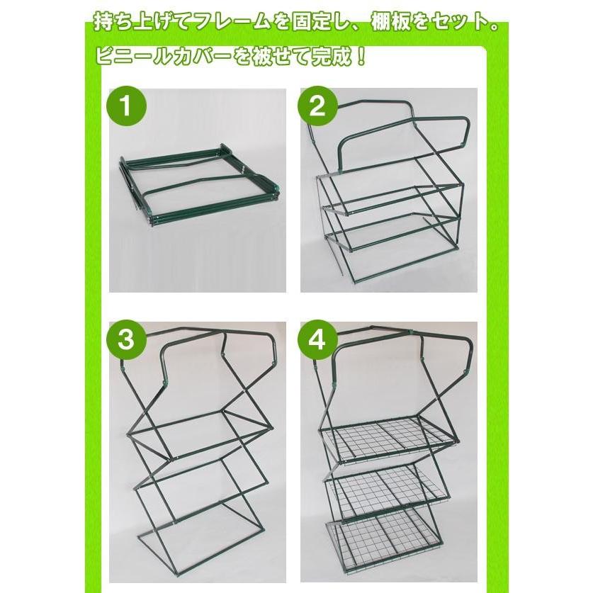 簡易温室 植物用簡易温室 簡易温室ハウス 家庭用ミニ温室 家庭菜園用ミニ温室