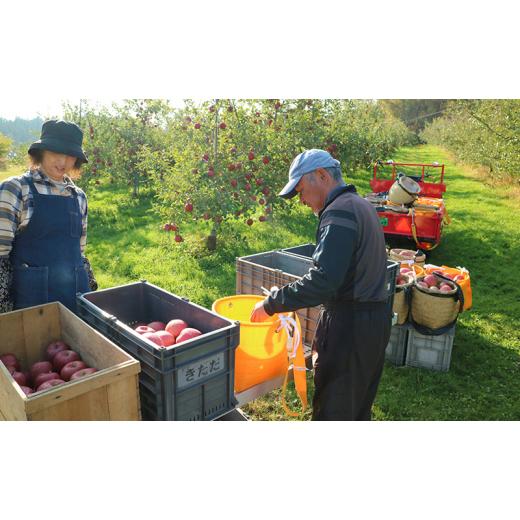 ふるさと納税 岩手県 盛岡市 盛岡 北田りんご園 完熟サンふじ 約5kg（14〜20玉）