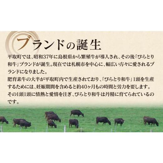 ふるさと納税 北海道 平取町 ”上質な霜降り”と”味わい深いジューシーな”和牛サーロインステーキ200g×5枚