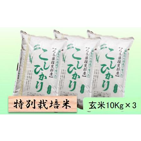 ふるさと納税 特別栽培米★玄米30kg10Kg×3 岐阜県池田町