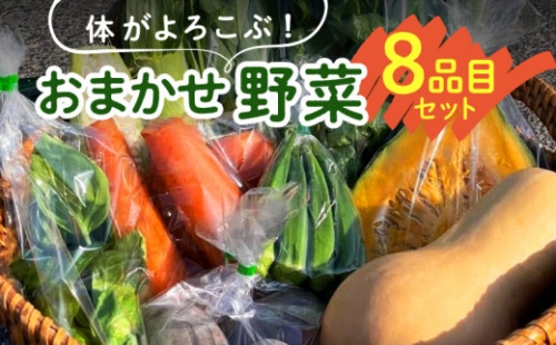 体がよろこぶ！おまかせ野菜８品目セット