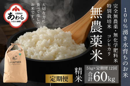 《定期便12回》コシヒカリ 精米 5kg （計60kg）特別栽培米 化学肥料不使用  ＜温度と湿度を常時管理し新鮮米を出荷！＞   伊与衛門農園の特別栽培米 高品質 鮮度抜群 福井県 あわら市産 ブランド米 R6 新米 北陸 白米 お米 ご飯 ※2024年9月下旬より順次発送予定