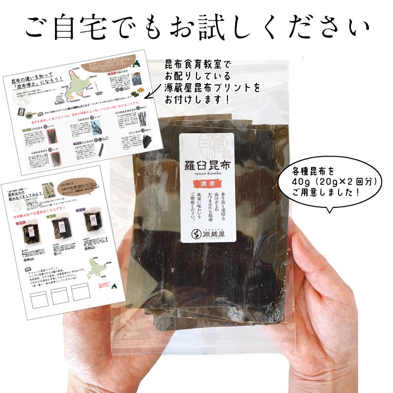 お試しセット [だし昆布] 羅臼昆布 利尻昆布 日高昆布 3点 各40g  飲み比べ 使い切り 食育