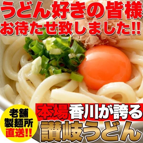 讃岐うどん 6食分 300g×2 特製だし醤油付き 製麺所直送 本場讃岐うどん