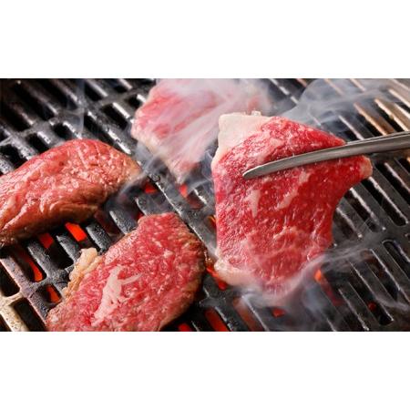 ふるさと納税 数量限定 牛肉 焼肉 もも 400g 山口県萩市産 見蘭牛 国産 和牛 バーベキュー 肉 お肉 牛 山口県萩市