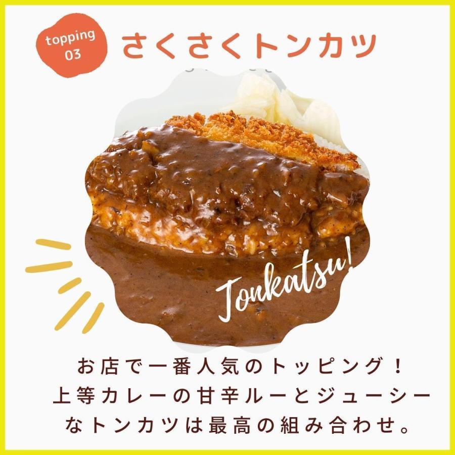 お試しセット 上等カレー レトルト食品 詰め合わせ 手土産 大阪 お土産    プレーン＋えび芋入り (500g × 2袋  約6人前)